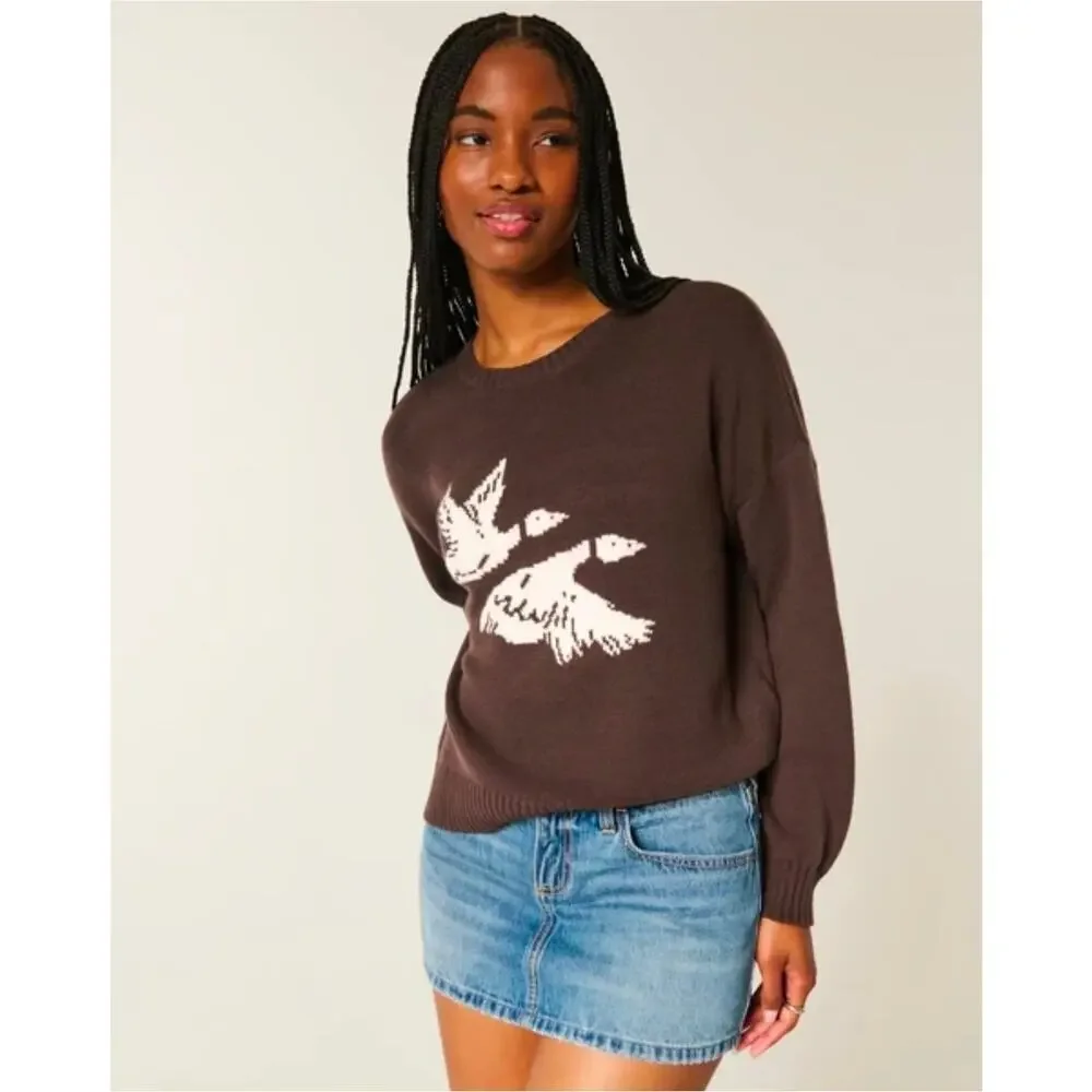 NWT Hollister Flying Birds Sweater